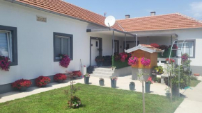 Villa Ruža